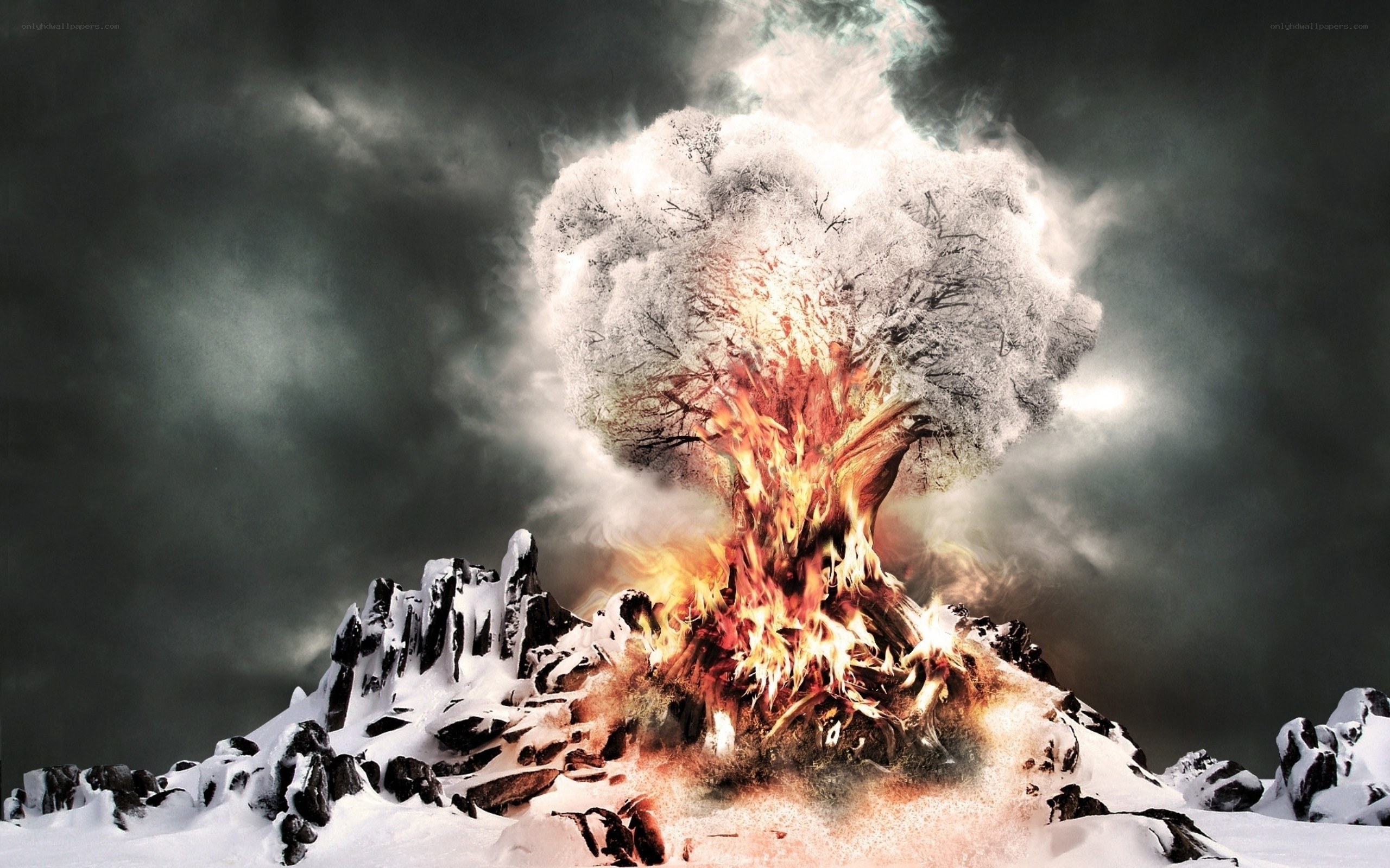 Burning tree in snowy landscape