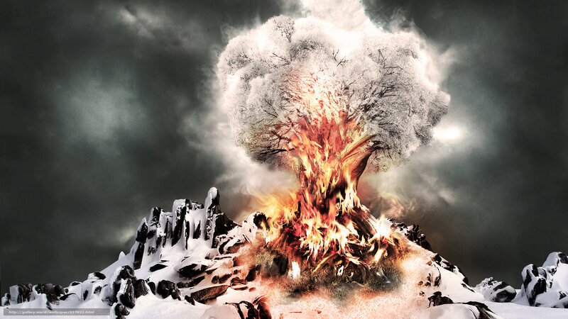 Burning tree in snowy landscape