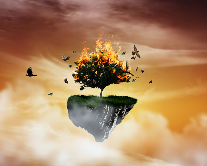 burning tree on floating island