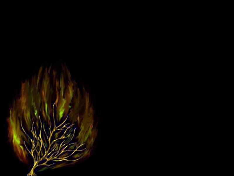 burning tree silhouette