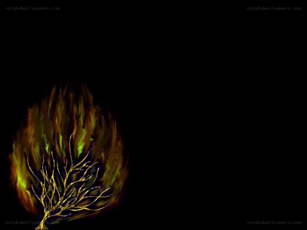 burning tree silhouette