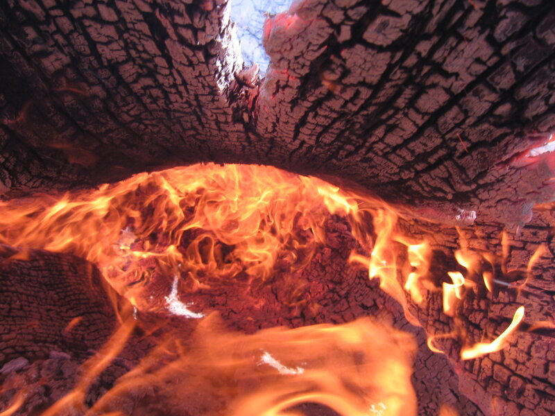 Burning Wood Fire — Orange