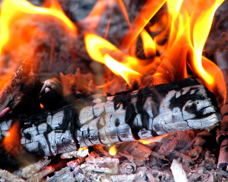 burning wood in a fire