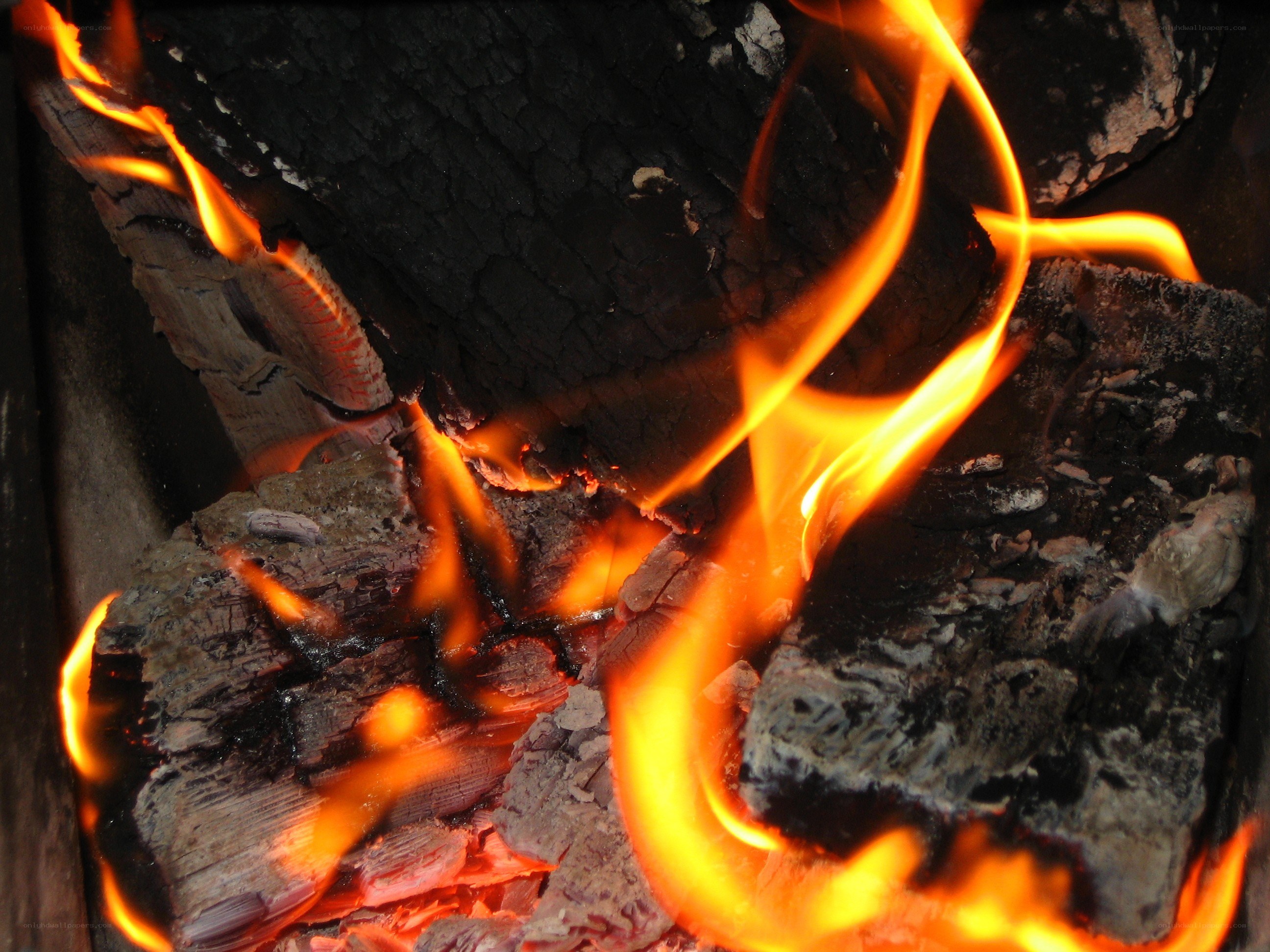 Burning wood in a fire