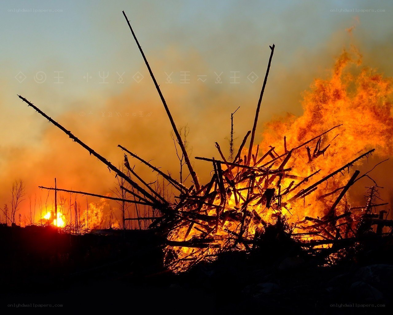 Burning wood pile at sunset