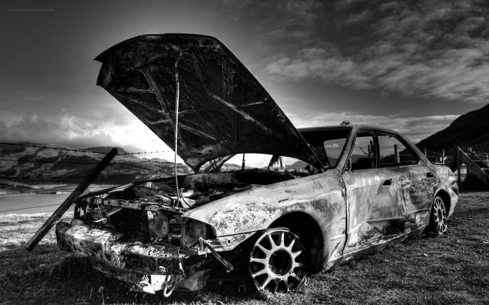 Burnt car in a field