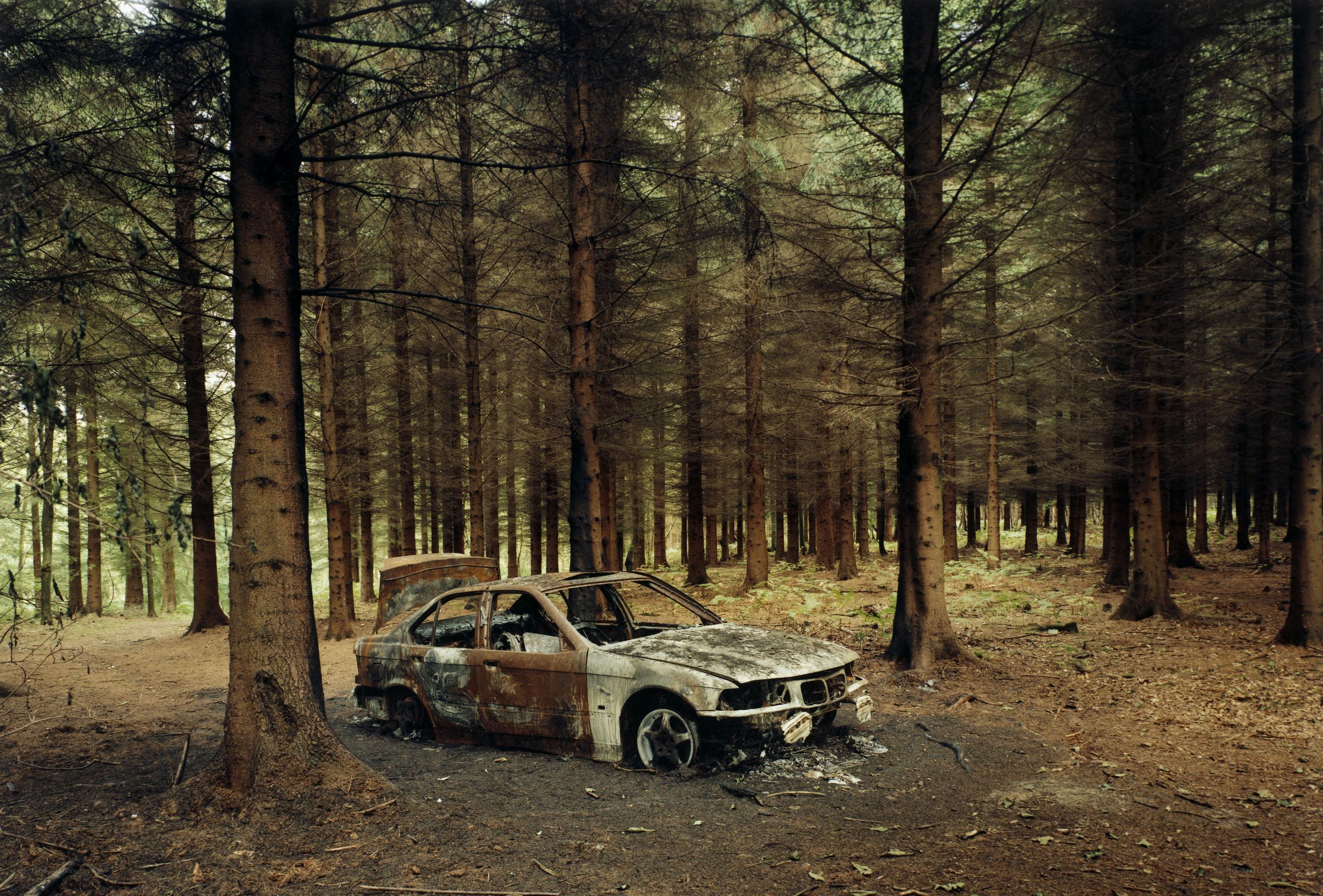 Burnt car in forest