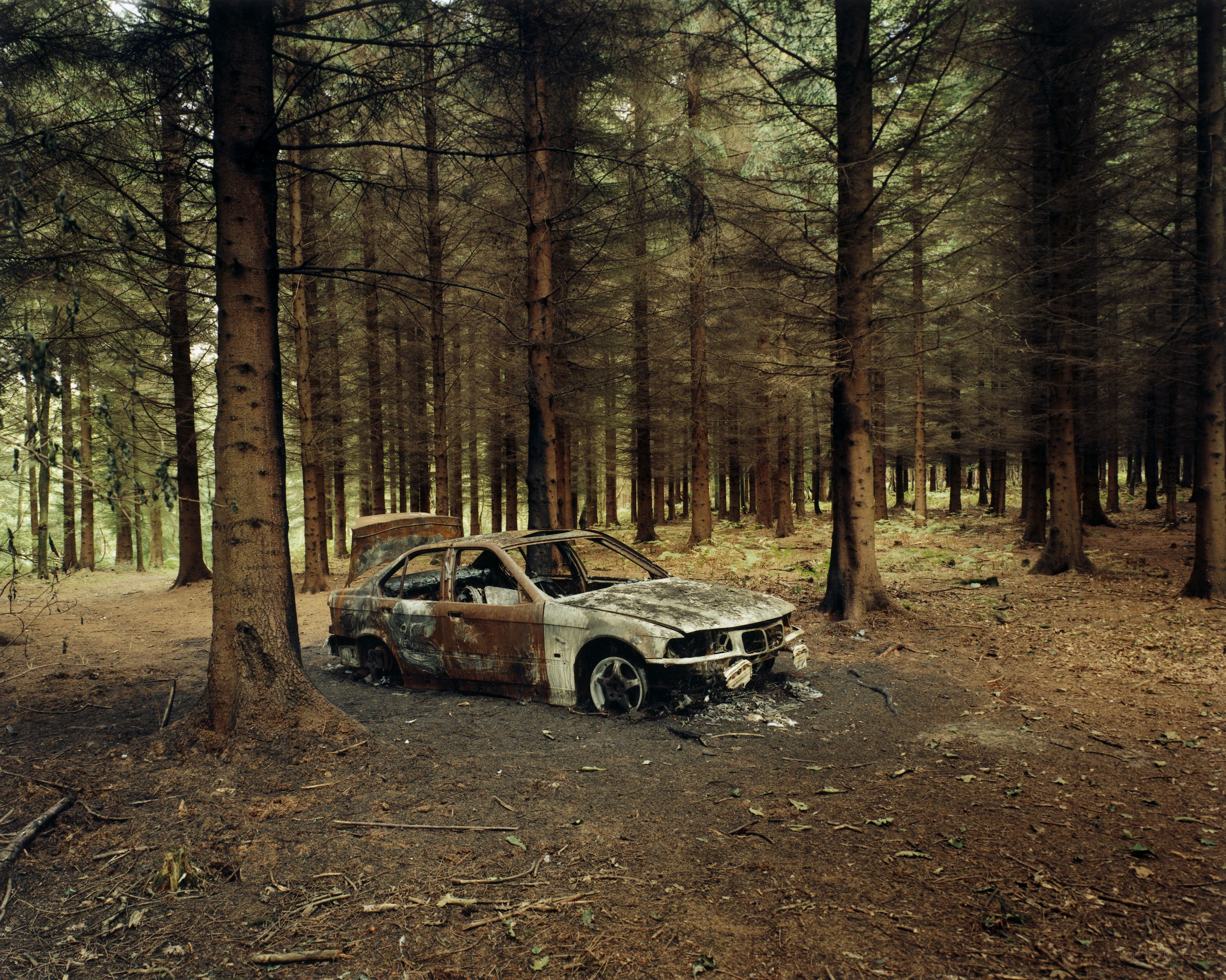 Burnt car in forest