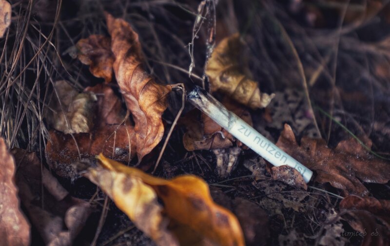 Burnt Cigarette in Leaves