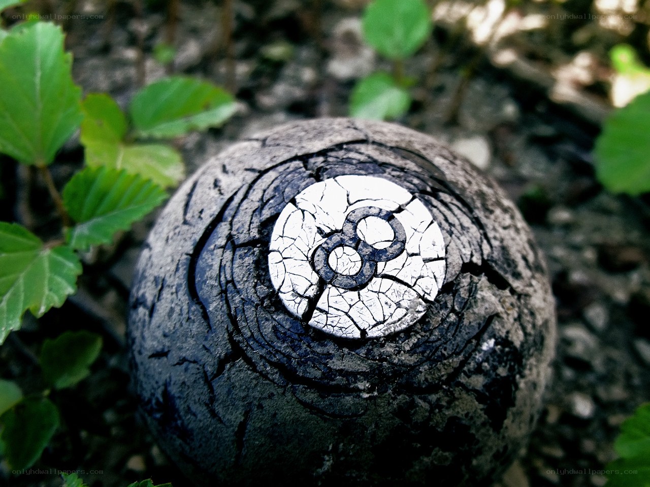 burnt eight ball in forest