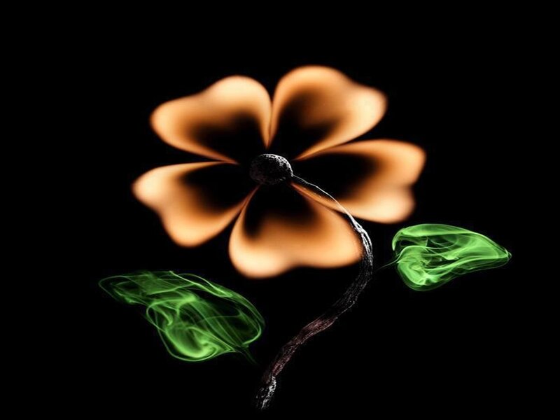 Burnt Flower with Smoke