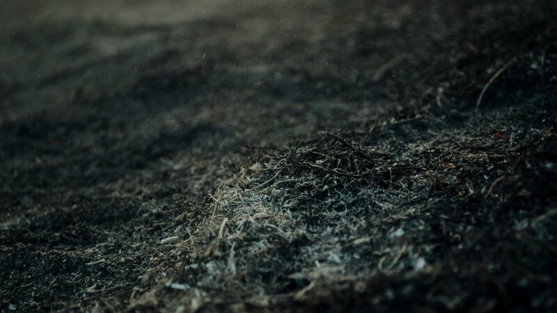 burnt ground texture
