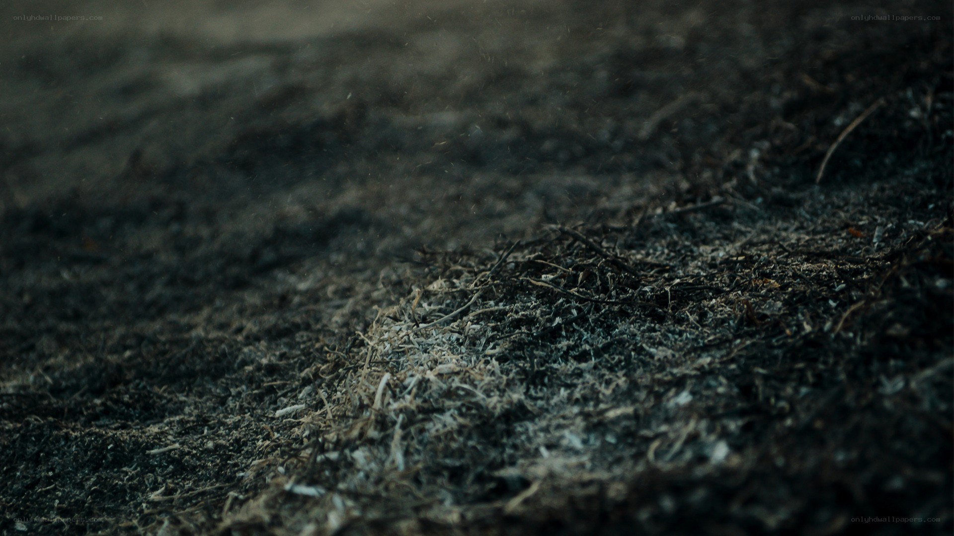 burnt ground texture
