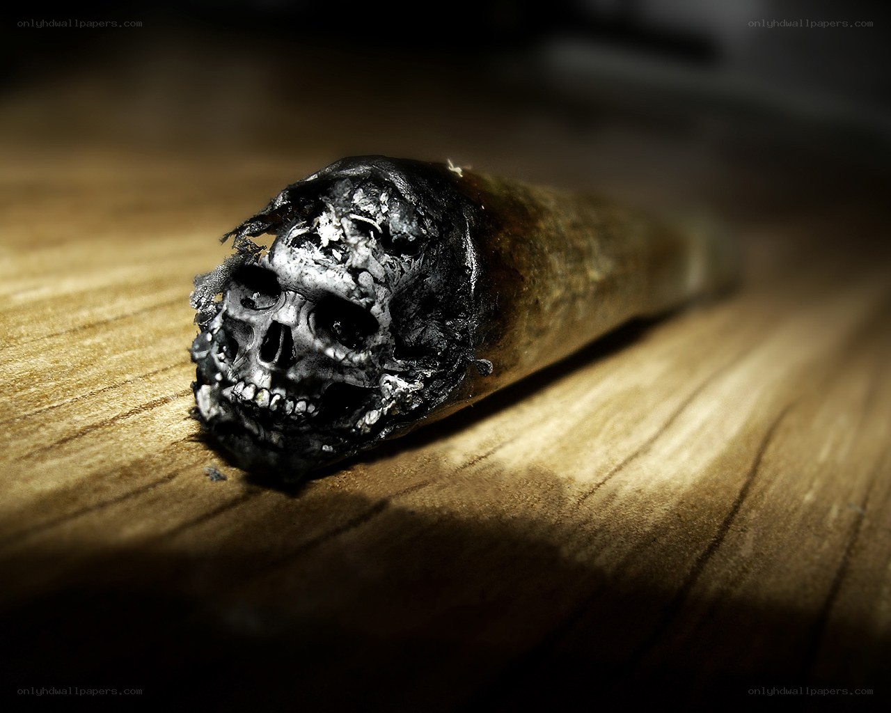burnt joint with skull