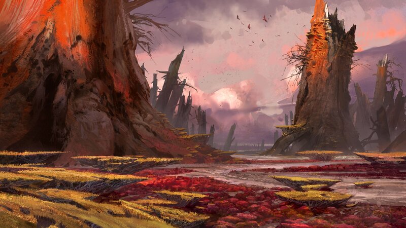 Burnt Tree Stumps