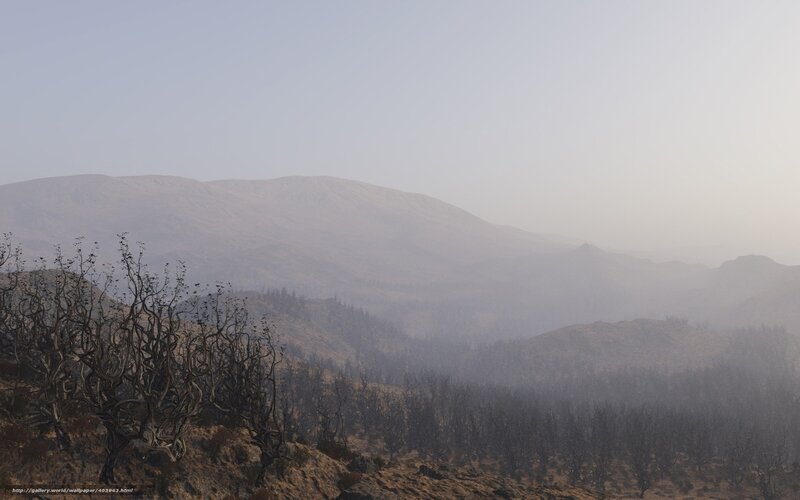 Burnt Trees in Hazy Valley