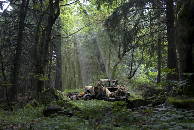 Burnt Truck in Forest