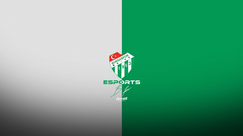 Bursaspor Esports Logo
