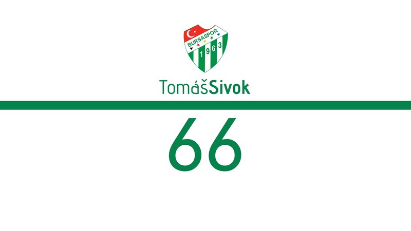Bursaspor Logo and Name