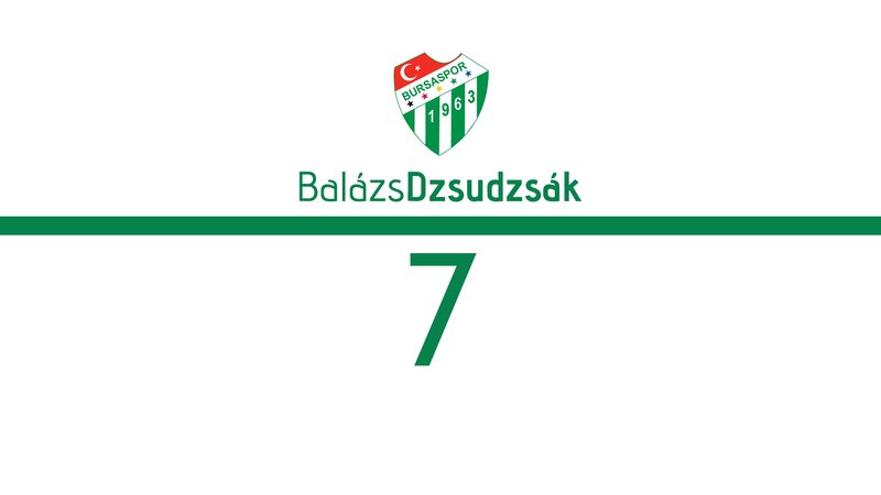 Bursaspor Logo and Number — White