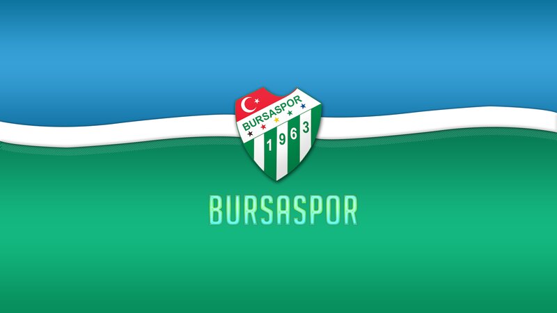 Bursaspor Logo