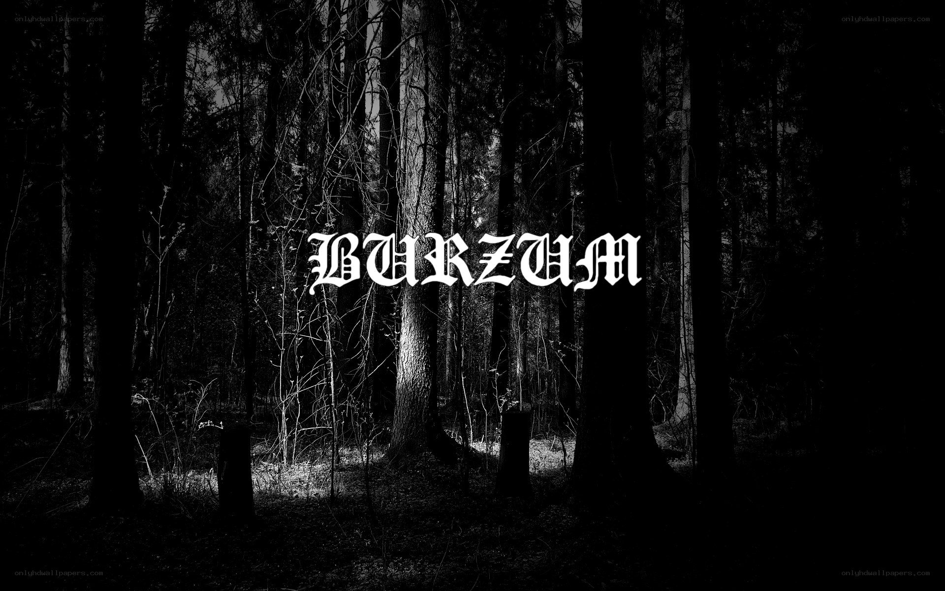 Burzum forest scene