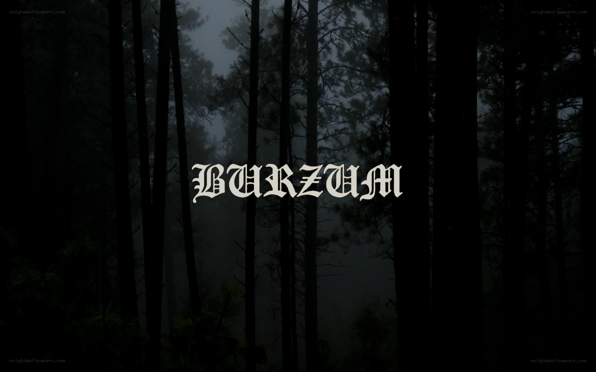 Burzum in a misty forest