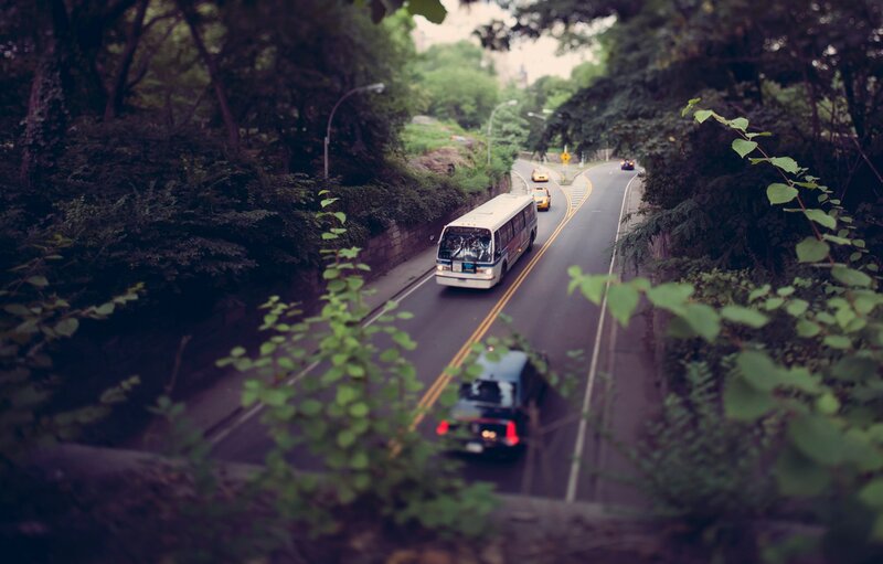 Bus on a tree-lined road
