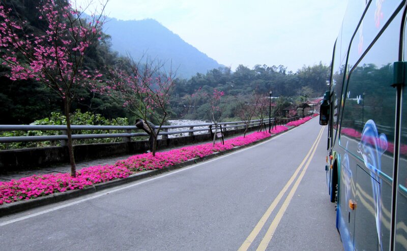 Bus on Road with Flowers