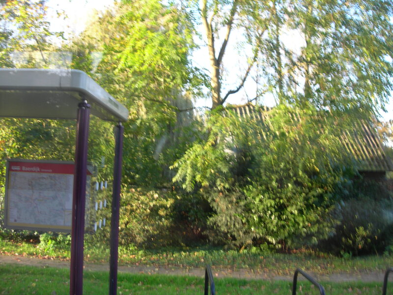 Bus Stop in Park