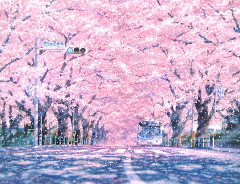 Bus under Cherry Blossoms
