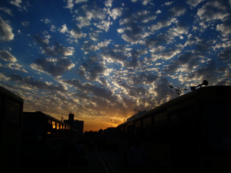 Buses at Sunset