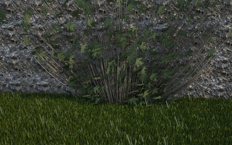 bush against stone wall