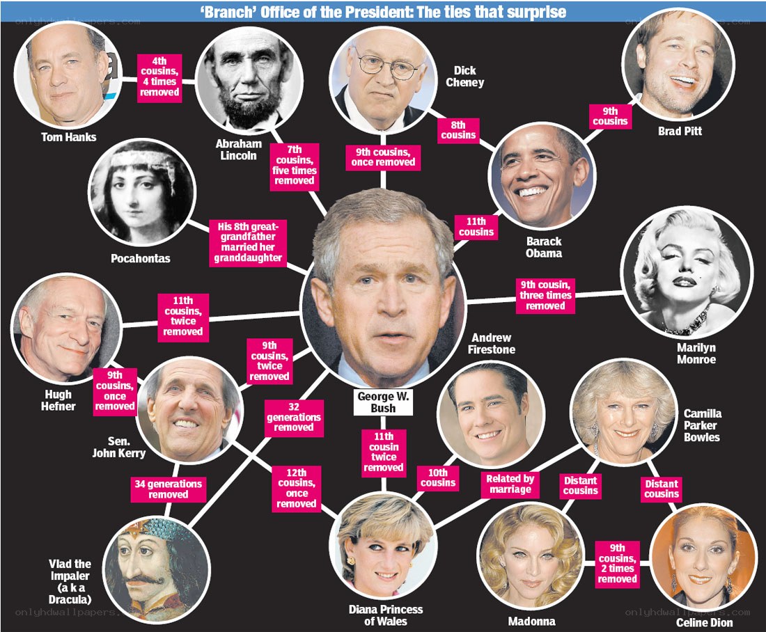 Bush family connections