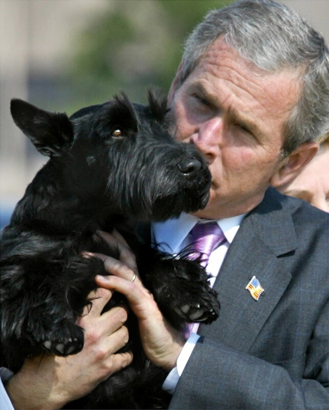 Bush hugging a dog