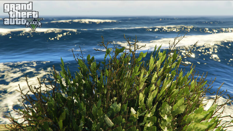 Bush Overlooking Ocean