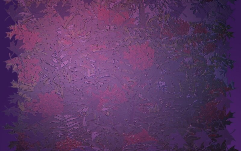 Bush with Red Berries — Purple
