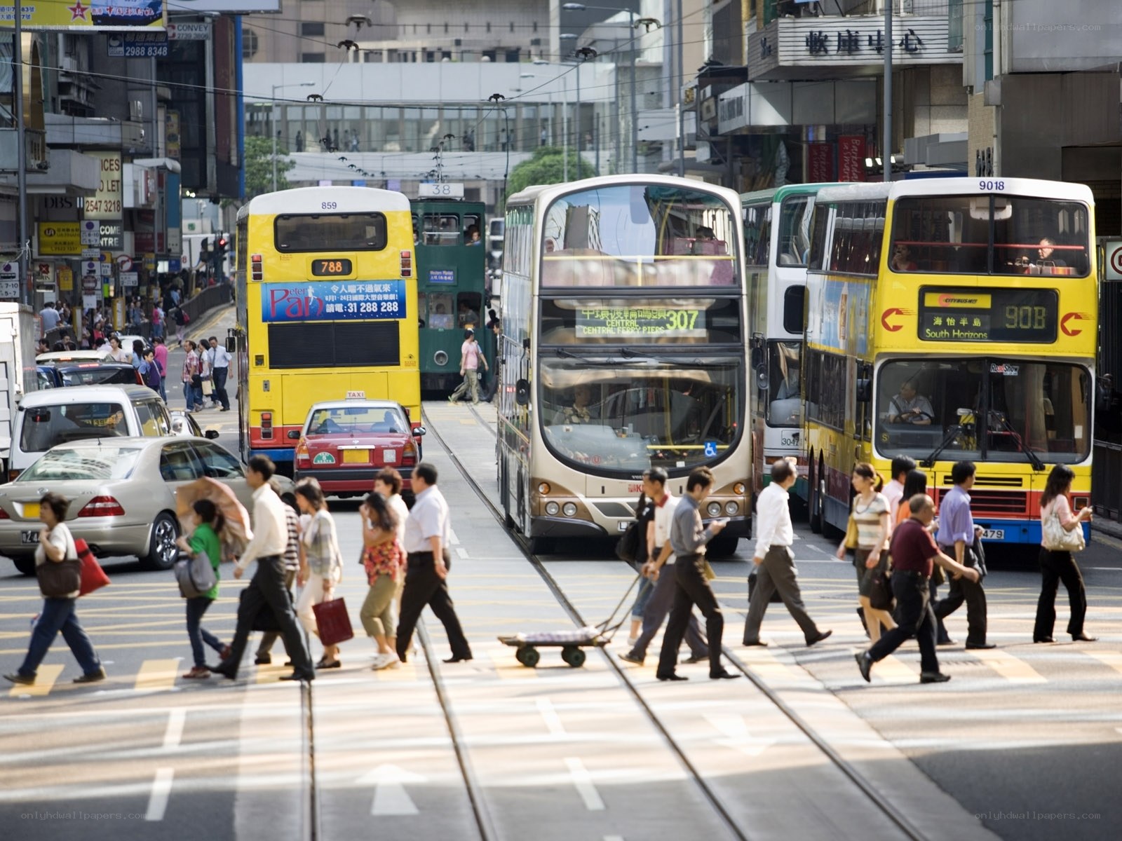 Busy street with double-decker buses