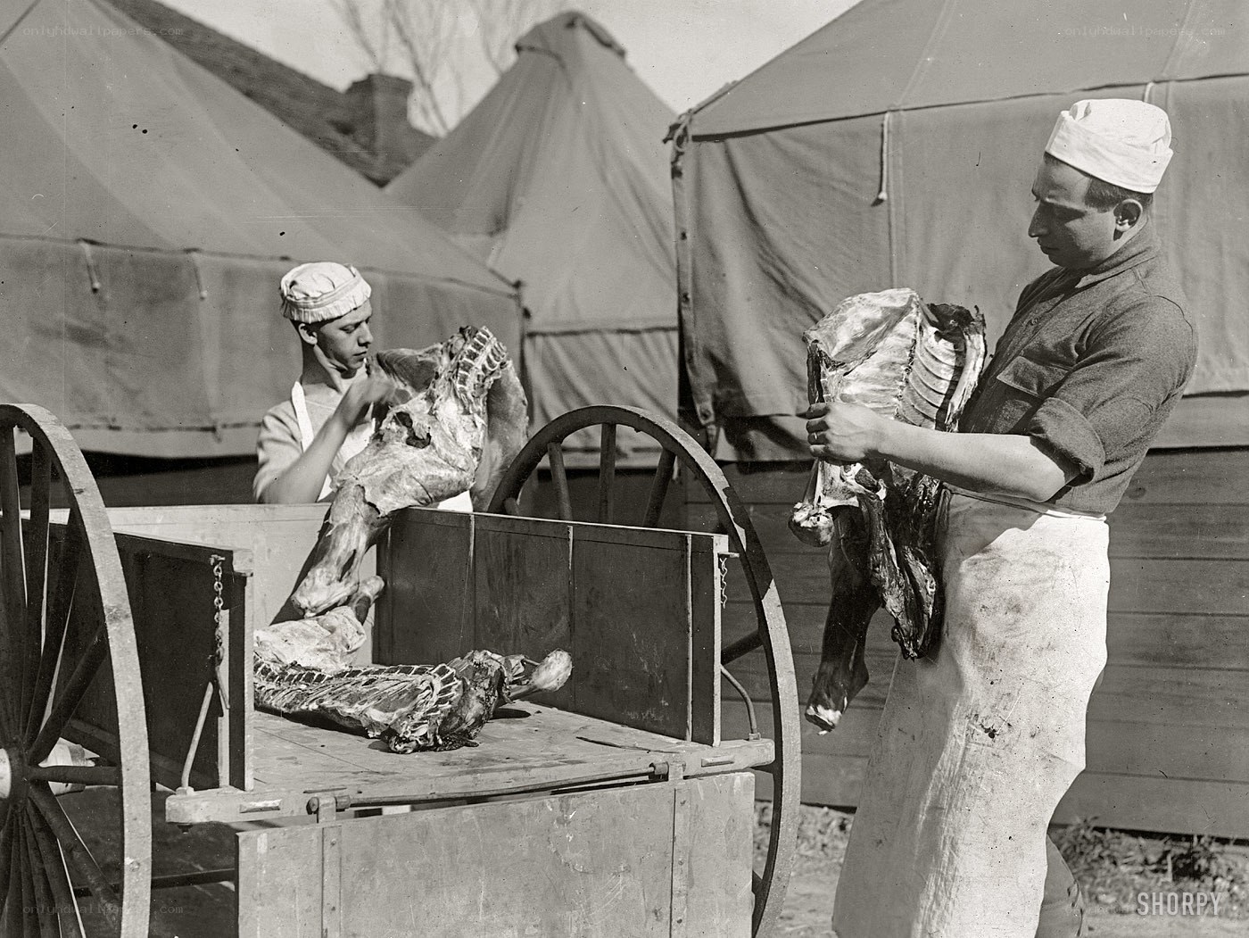 Butchering meat at a camp