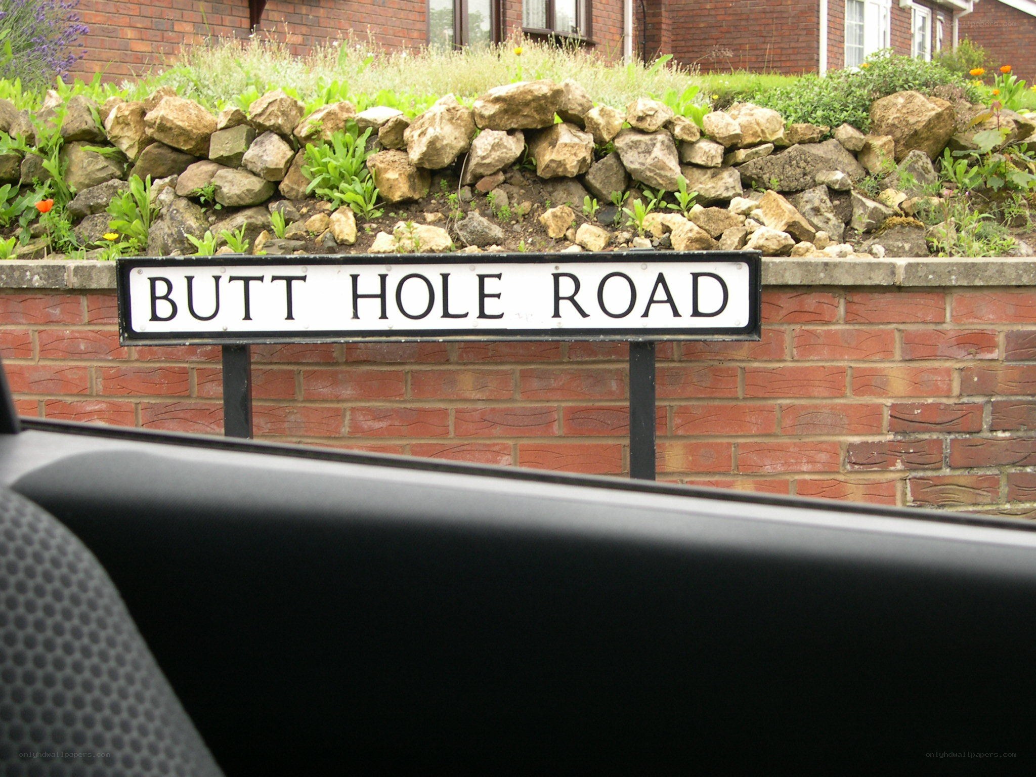 Butt Hole Road sign