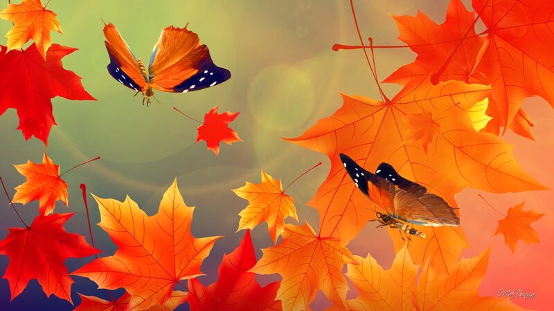 Butterflies Among Autumn Leaves — Orange
