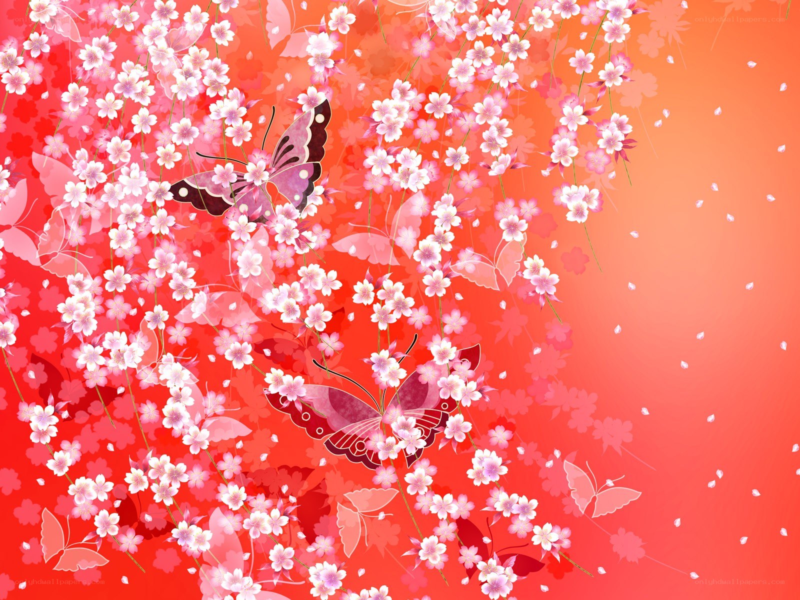 butterflies among cherry blossoms