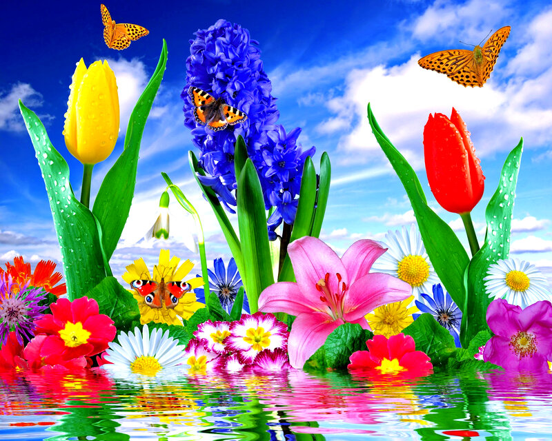 Butterflies Among Flowers — Blue