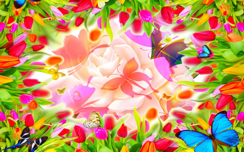 Butterflies Among Flowers — Green, Vibrant