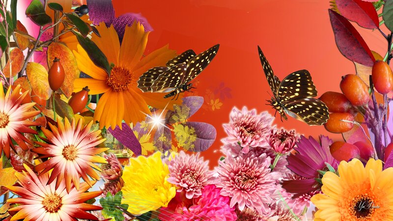 Butterflies Among Flowers — Orange
