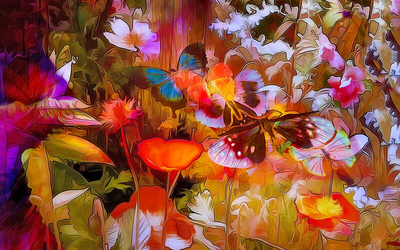 Butterflies Among Flowers — Orange, Vibrant