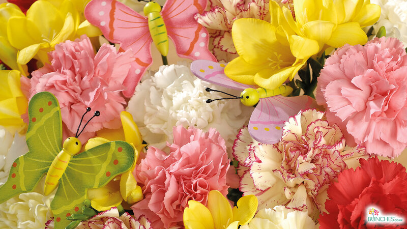 Butterflies Among Flowers — Pink, Bright