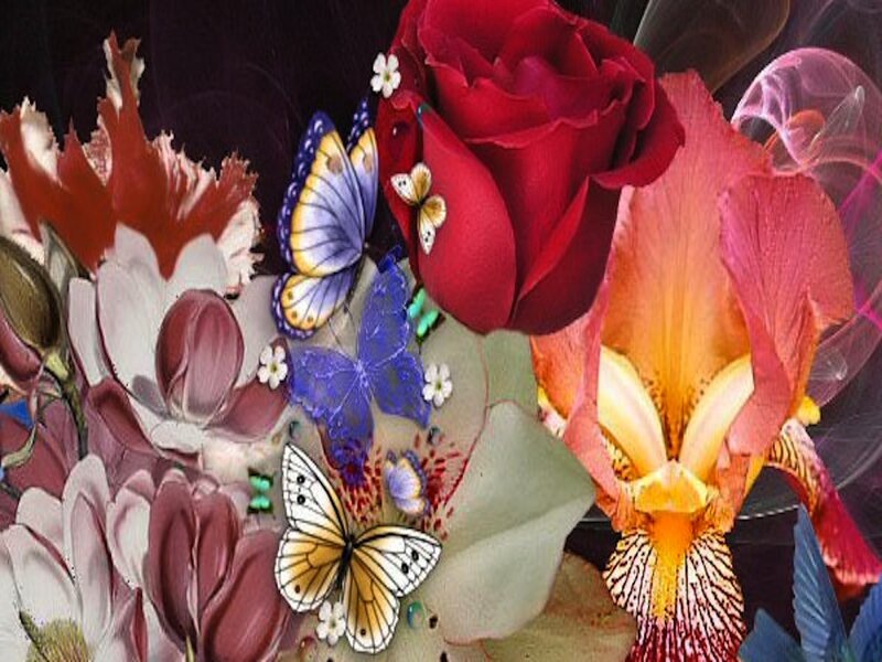 Butterflies Among Flowers — Red