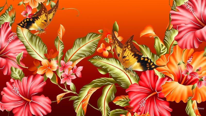 Butterflies Among Hibiscus Flowers