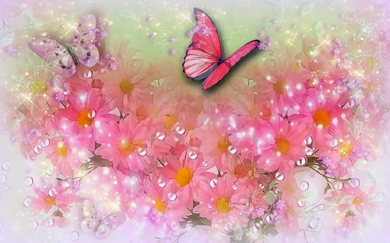 Butterflies Among Pink Flowers — Dreamy